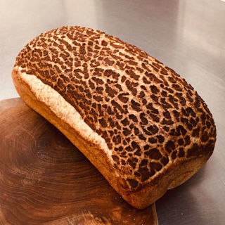 Afbeelding van Bruin vloer tijger tarwe brood